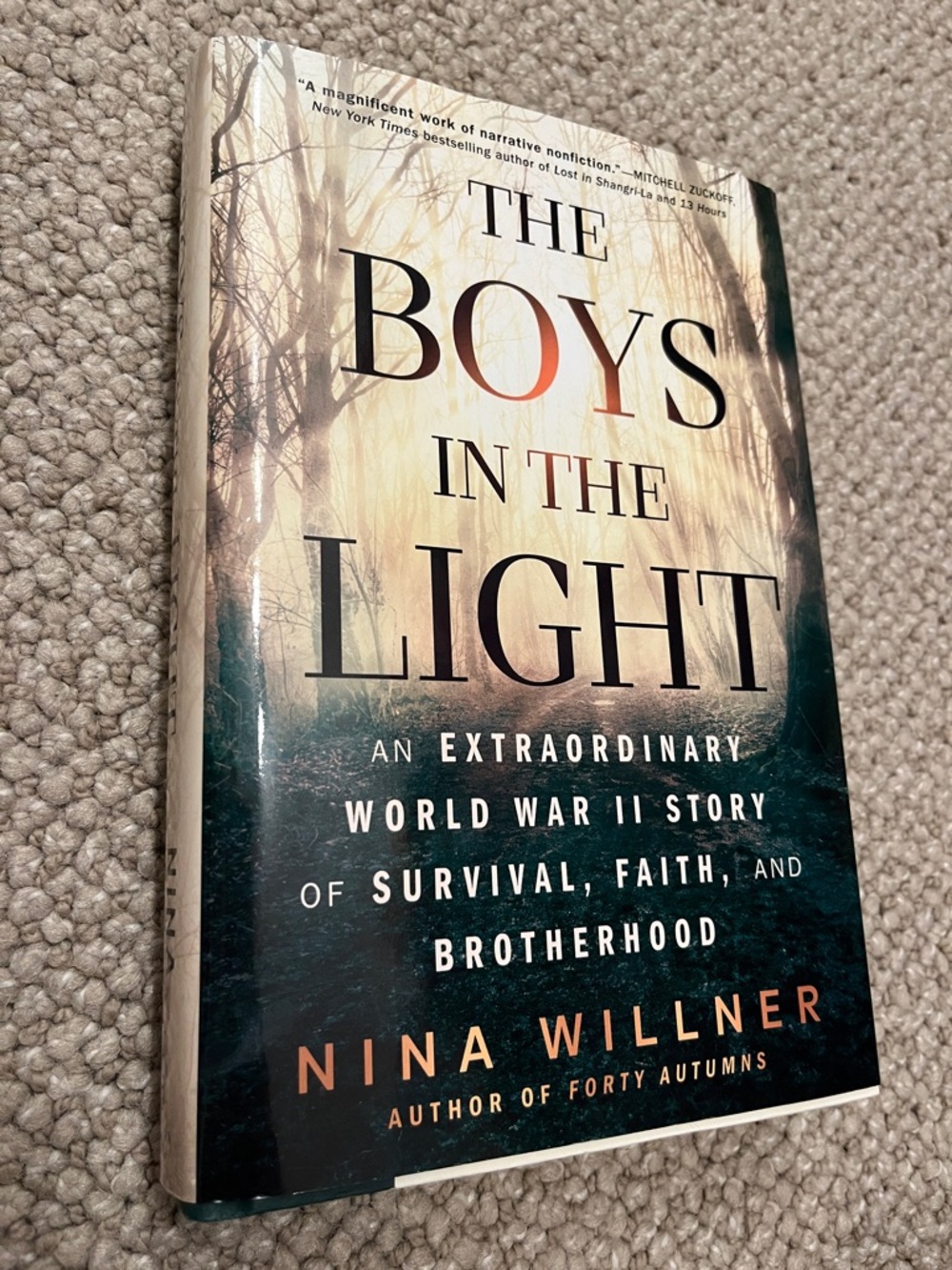 The Boys in the Light by Nina Willner - Hardcover Book - Green & Cream Cover